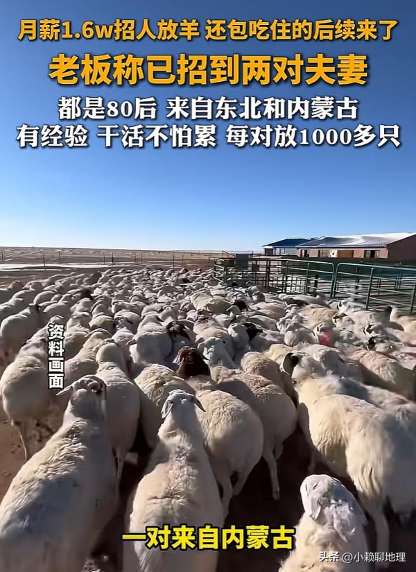 月薪1.6万放羊：两对夫妻的选择与挑战