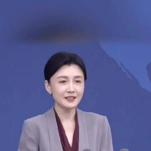 国台办回应刘世芳外甥被台企解职：事件背后的真相与影响