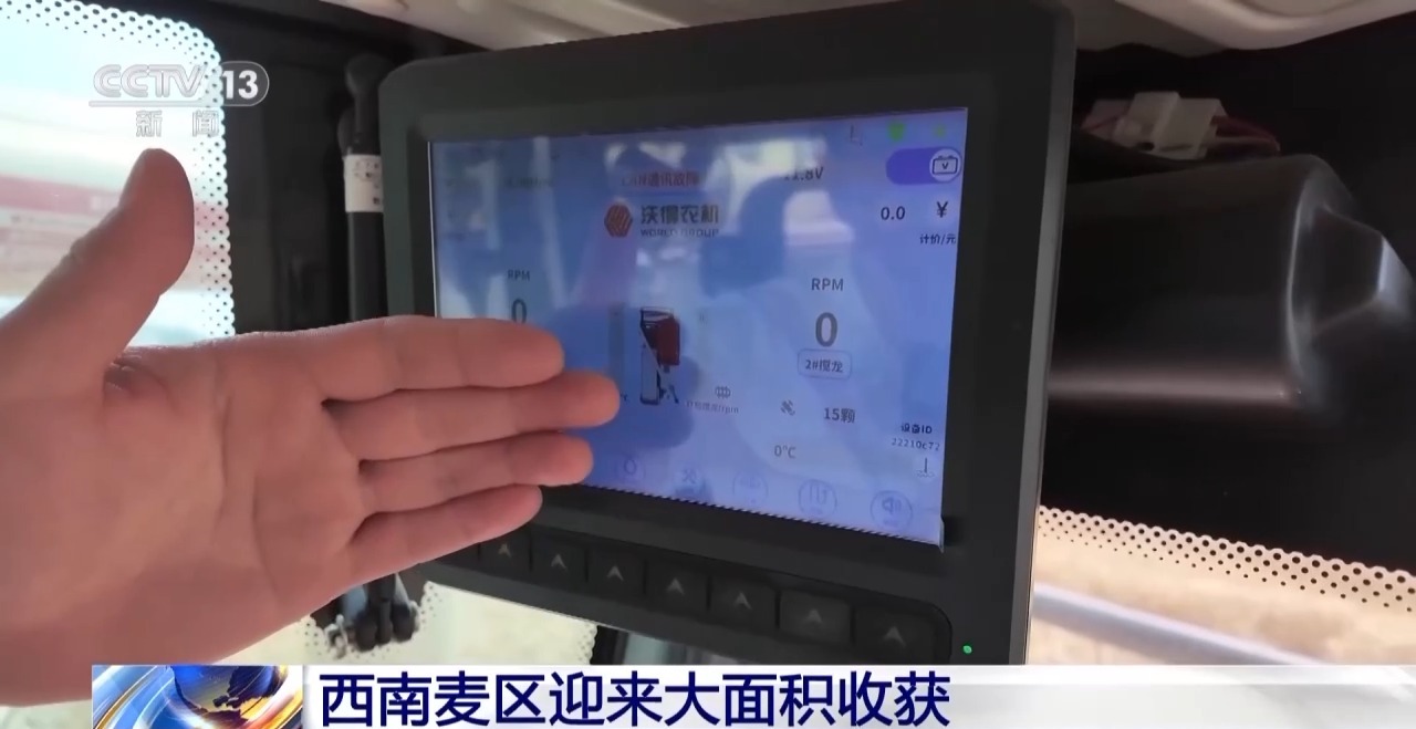 西南麦区丰收在望：大面积收获的背后