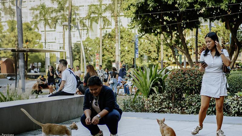科技赋能夏收夏种 助力粮食稳产丰收
