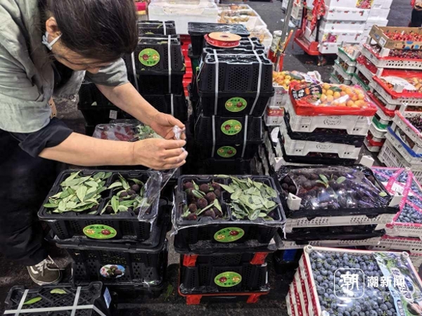 泡药杨梅事件引发行业震动：商家主动断货，消费者信心受挫
